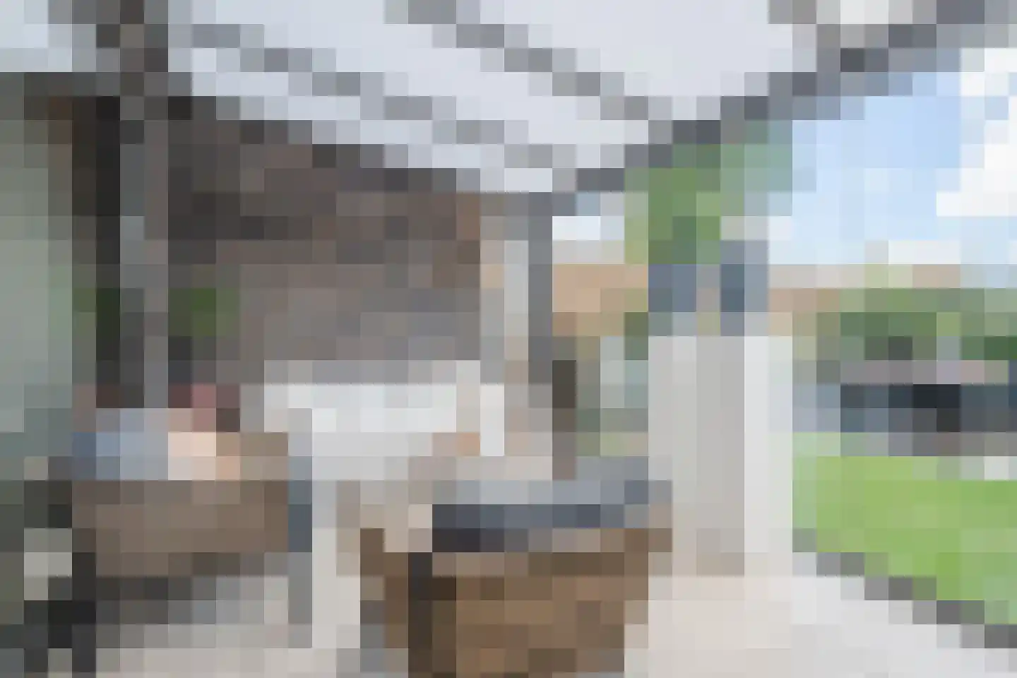 Baronesstraat 9 Grave thumbnail 22