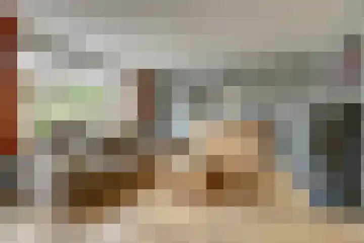 Baronie 1 Lelystad thumbnail 12