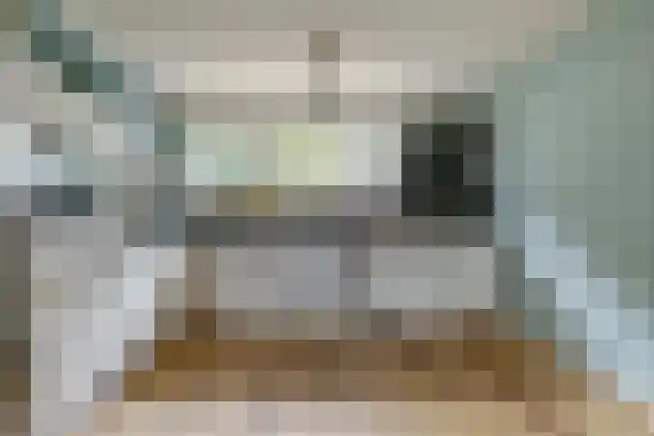 Baronie 1 Lelystad thumbnail 16
