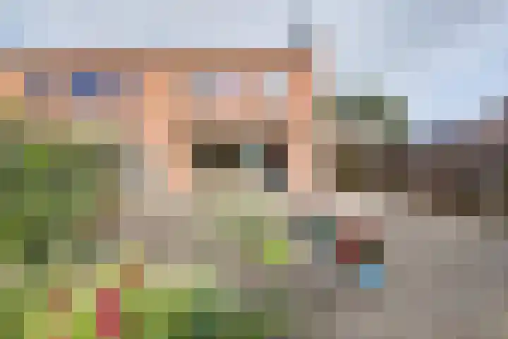 Baronie 1 Lelystad thumbnail 37