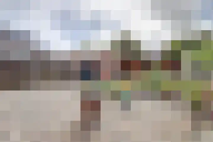 Baronie 1 Lelystad thumbnail 38