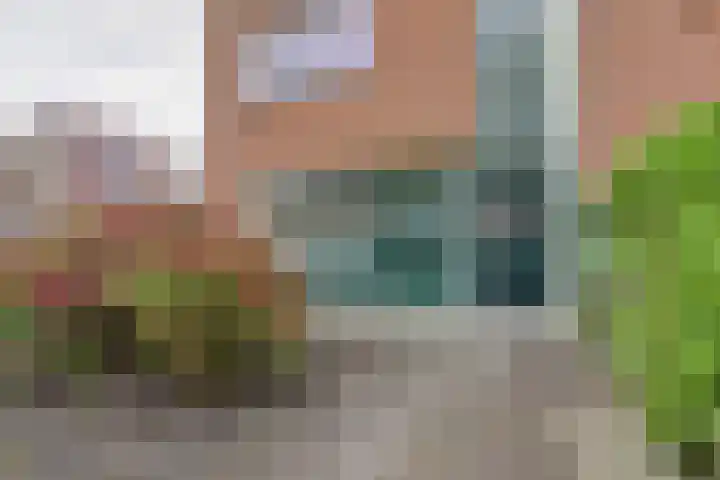 Baronie 1 Lelystad thumbnail 8