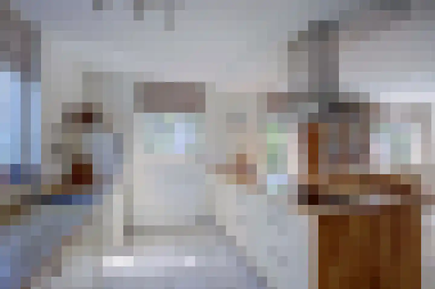 Baronie 2 Leerdam thumbnail 10
