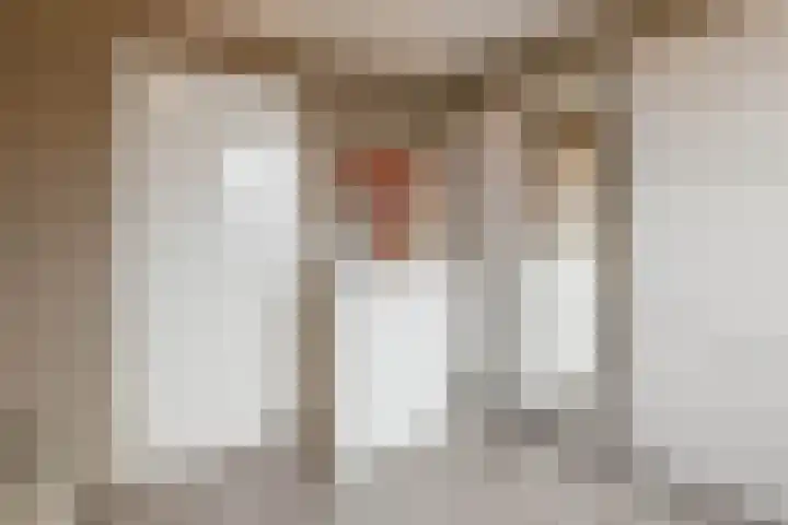 Baronie 21 Oss thumbnail 19