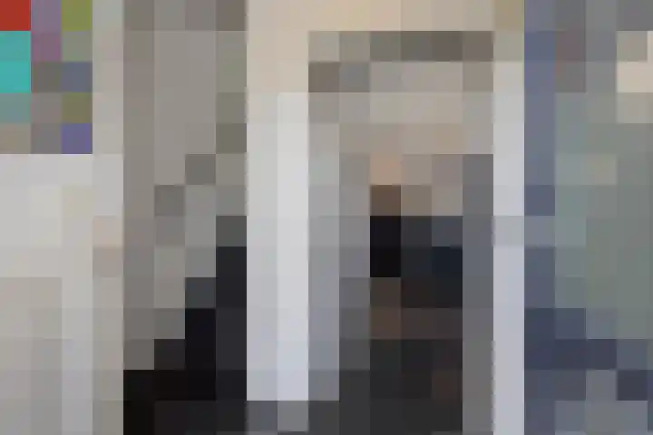 Baronie 39 Oss thumbnail 12
