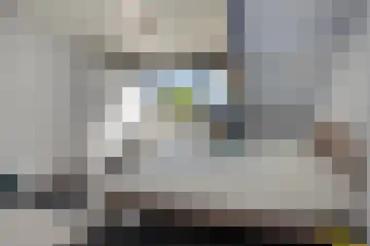 Baronie 39 Oss thumbnail 14