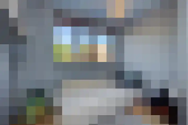 Baronie 39 Oss thumbnail 16