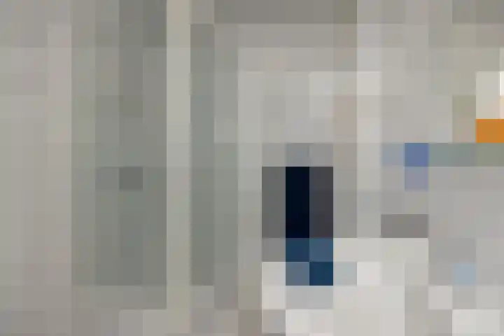 Baronie 39 Oss thumbnail 18