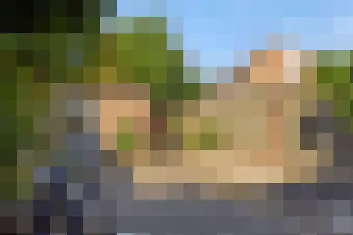 Baronie 39 Oss thumbnail 21