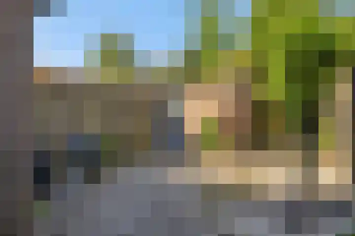 Baronie 39 Oss thumbnail 22