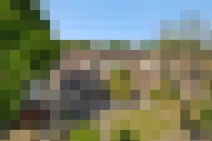 Baronie 39 Oss thumbnail 32