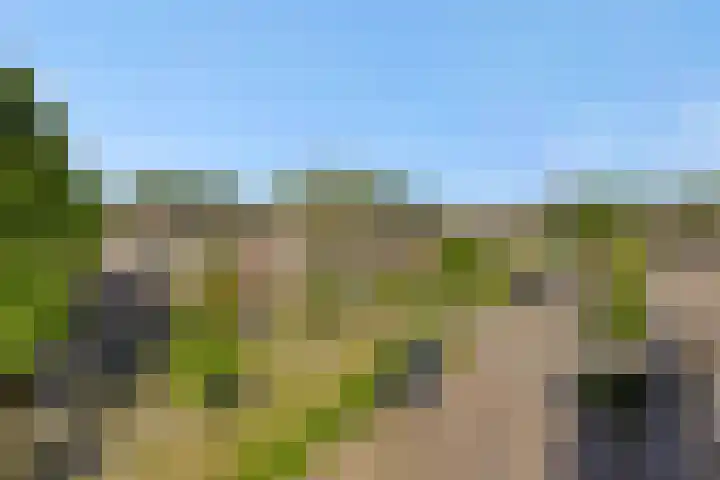 Baronie 39 Oss thumbnail 33