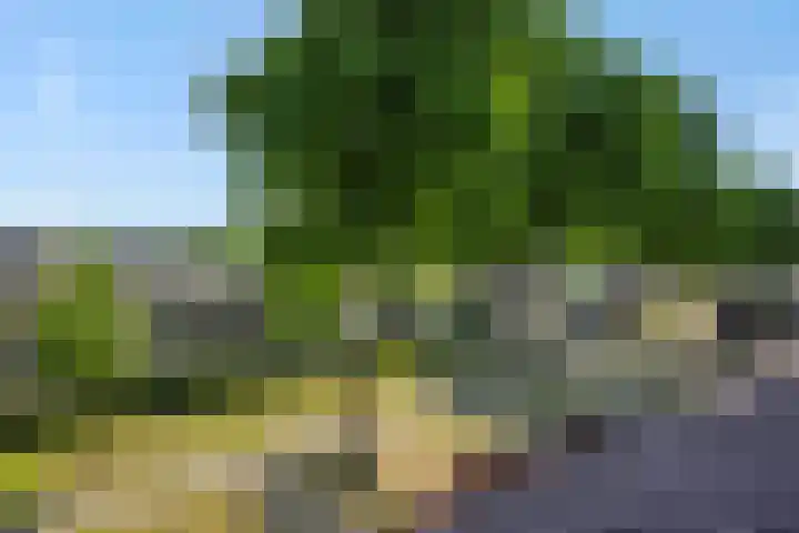 Baronie 39 Oss thumbnail 35