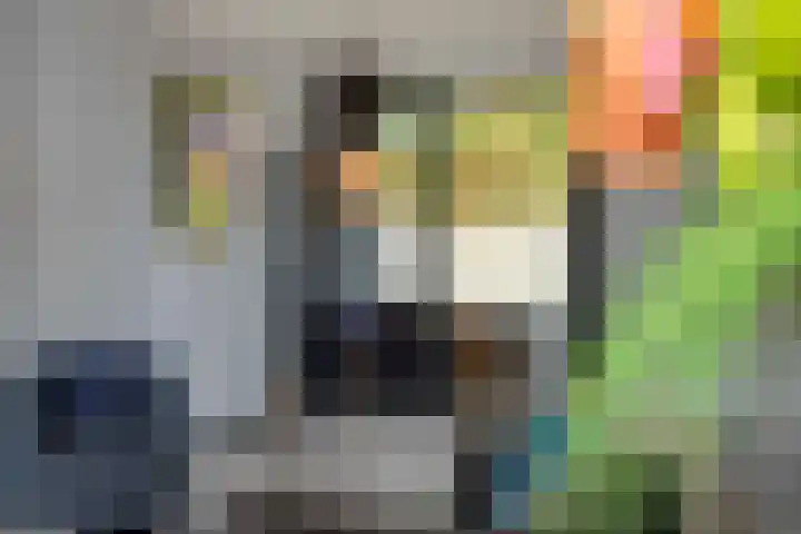 Baronie 39 Oss thumbnail 4