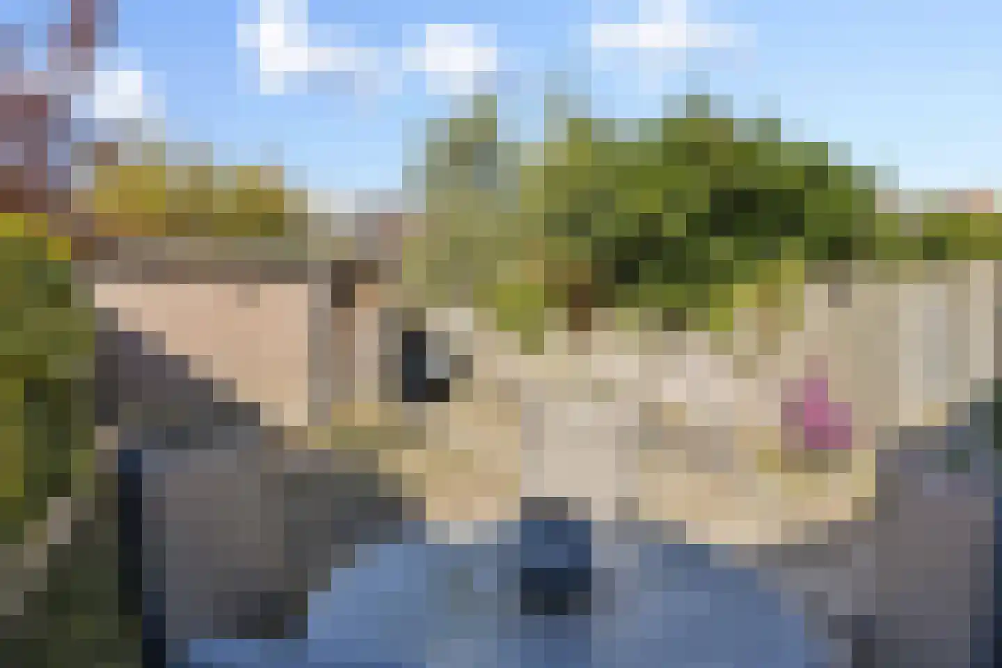 Baronie 45 Oss thumbnail 29