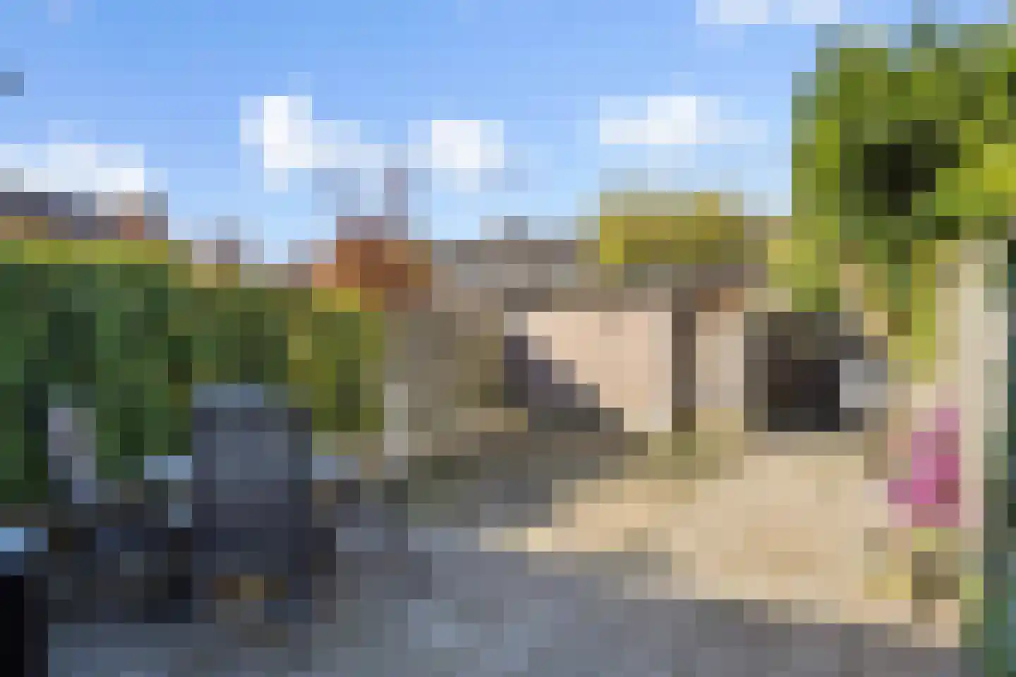 Baronie 45 Oss thumbnail 30