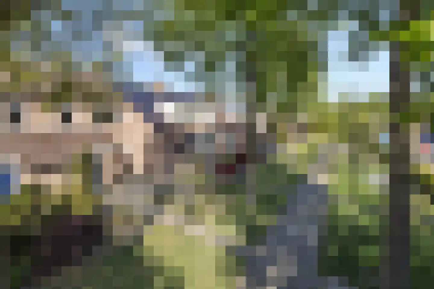 Baronie 45 Oss thumbnail 39
