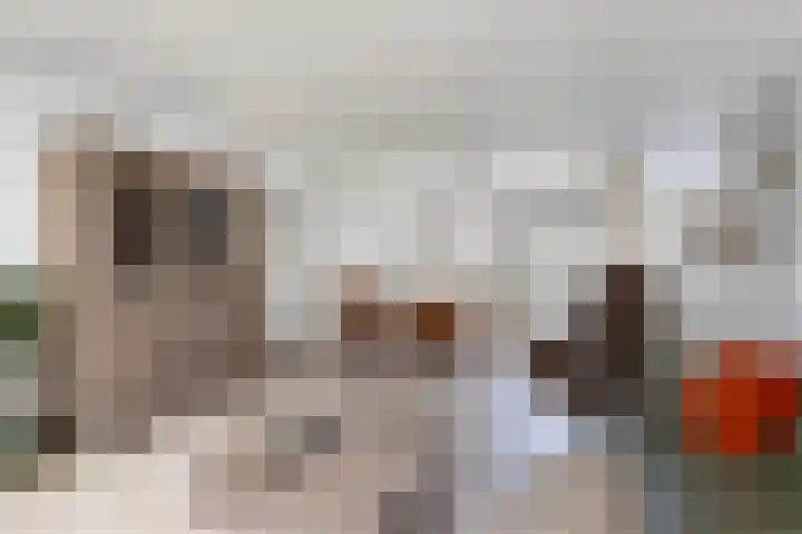 Baroniehof 15 Helmond thumbnail 10