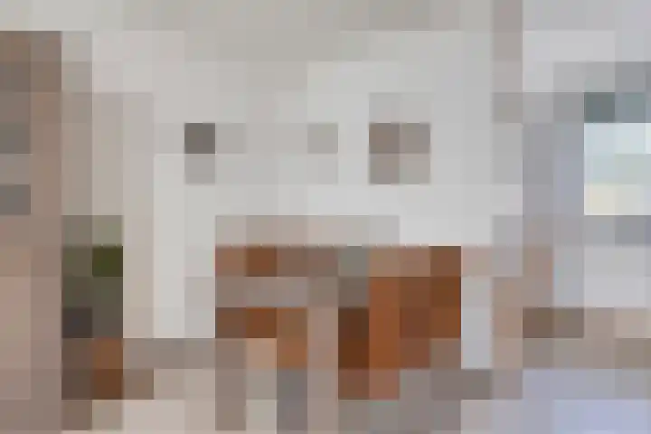 Baroniehof 15 Helmond thumbnail 11