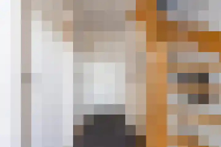 Baroniehof 15 Helmond thumbnail 16