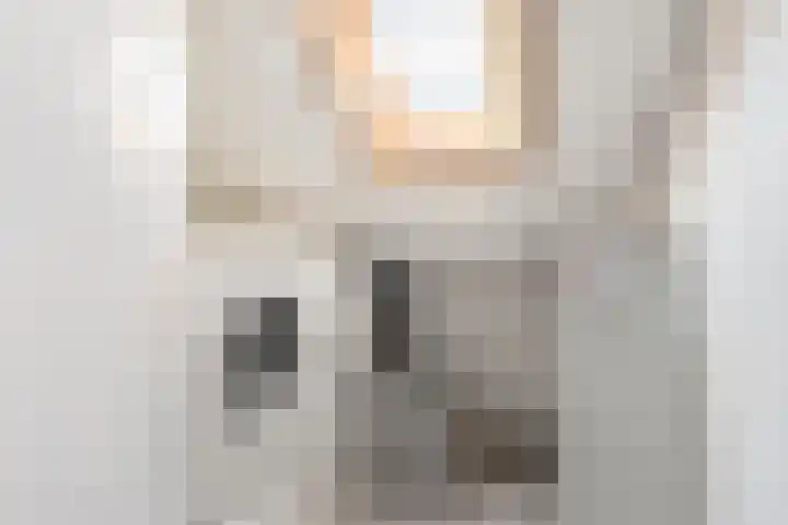 Baroniehof 15 Helmond thumbnail 21