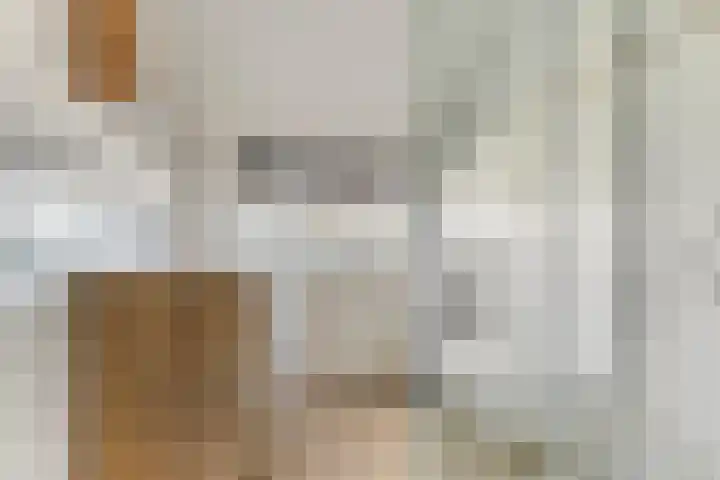 Baroniehof 15 Helmond thumbnail 22