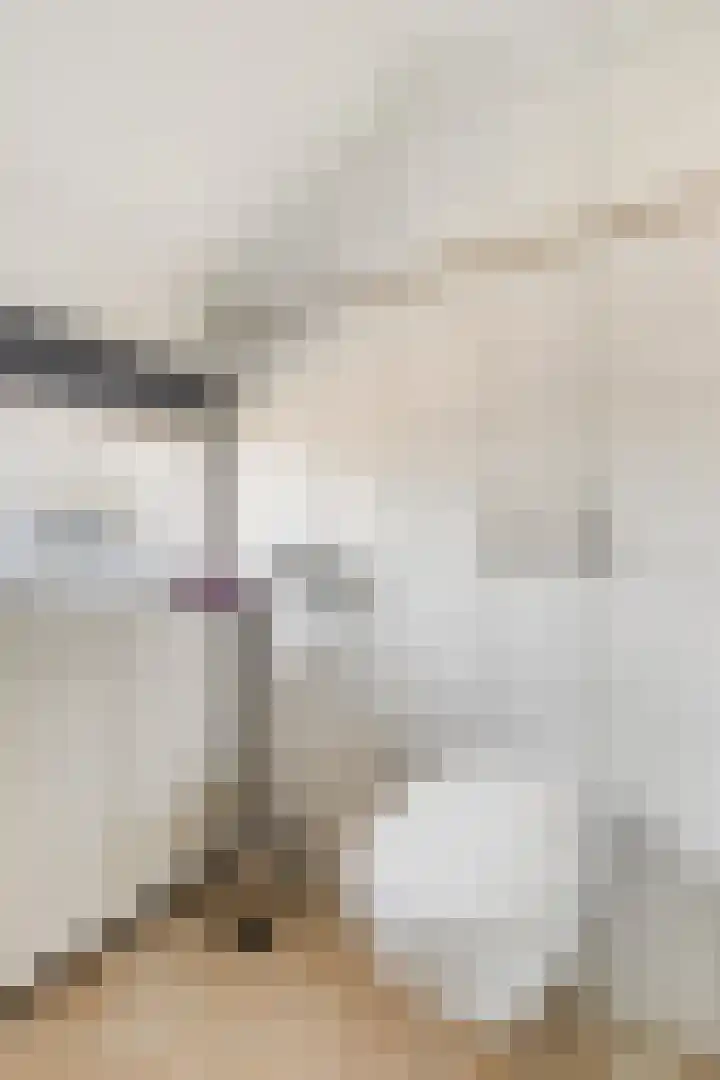 Baroniehof 15 Helmond thumbnail 24