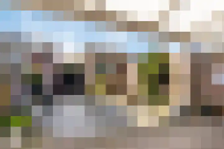 Baroniehof 15 Helmond thumbnail 27