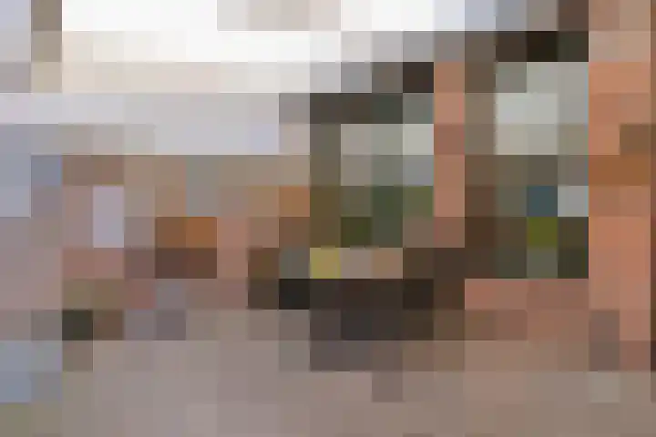Baroniehof 15 Helmond thumbnail 28