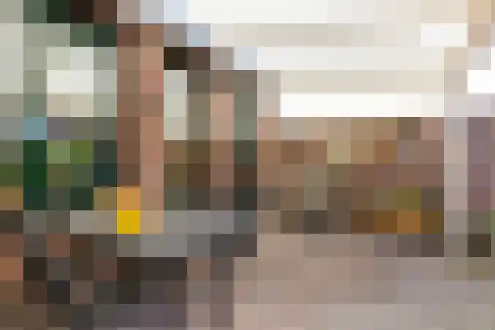 Baroniehof 15 Helmond thumbnail 29