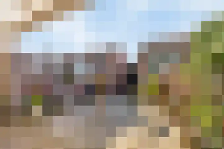 Baroniehof 15 Helmond thumbnail 30