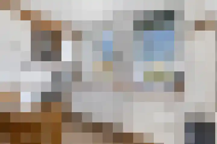 Baroniehof 15 Helmond thumbnail 5