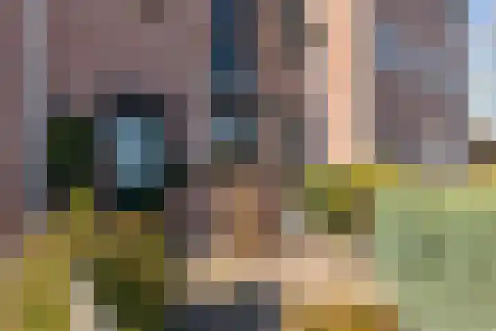Baroniehof 15 Helmond thumbnail 6