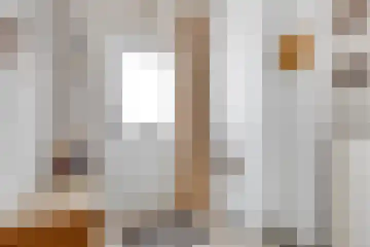Baroniehof 15 Helmond thumbnail 7