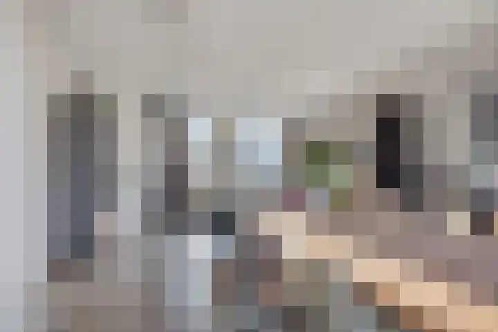 Baroniehof 160 Helmond thumbnail 11