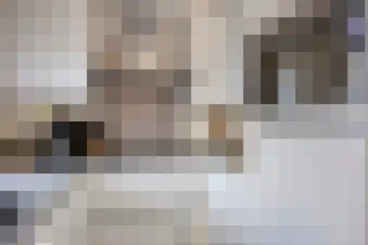 Baroniehof 160 Helmond thumbnail 14