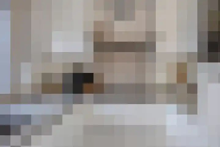 Baroniehof 160 Helmond thumbnail 15
