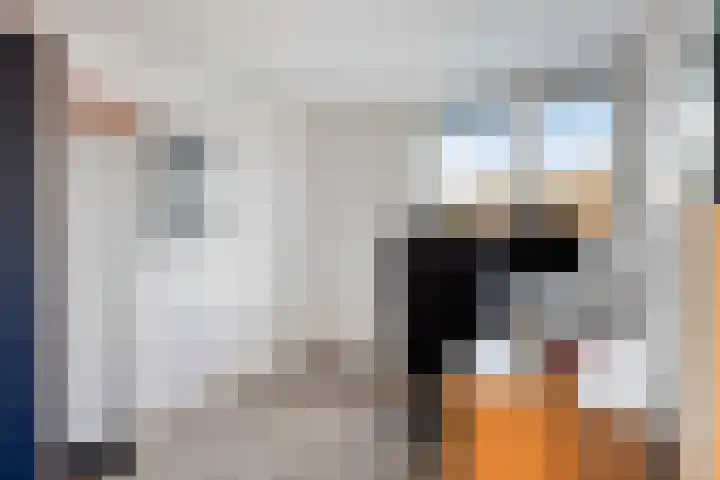 Baroniehof 160 Helmond thumbnail 22