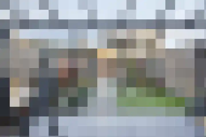 Baroniehof 160 Helmond thumbnail 27