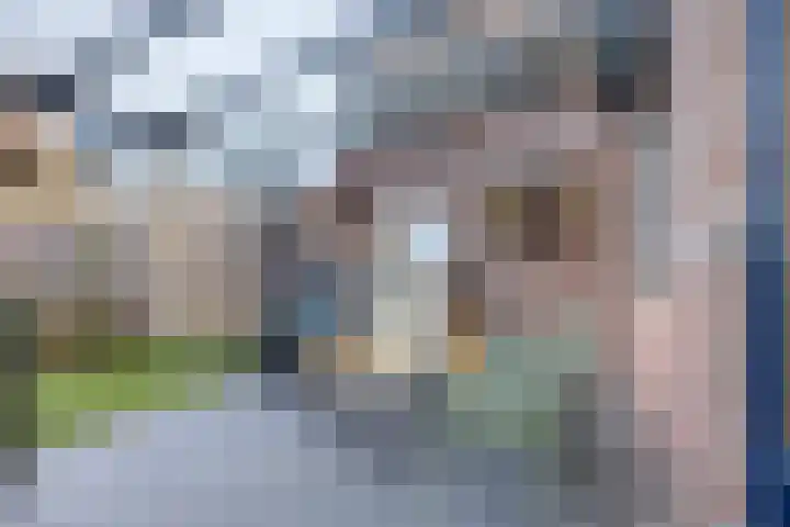 Baroniehof 160 Helmond thumbnail 28
