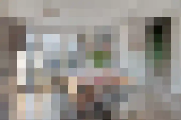 Baroniehof 160 Helmond thumbnail 8
