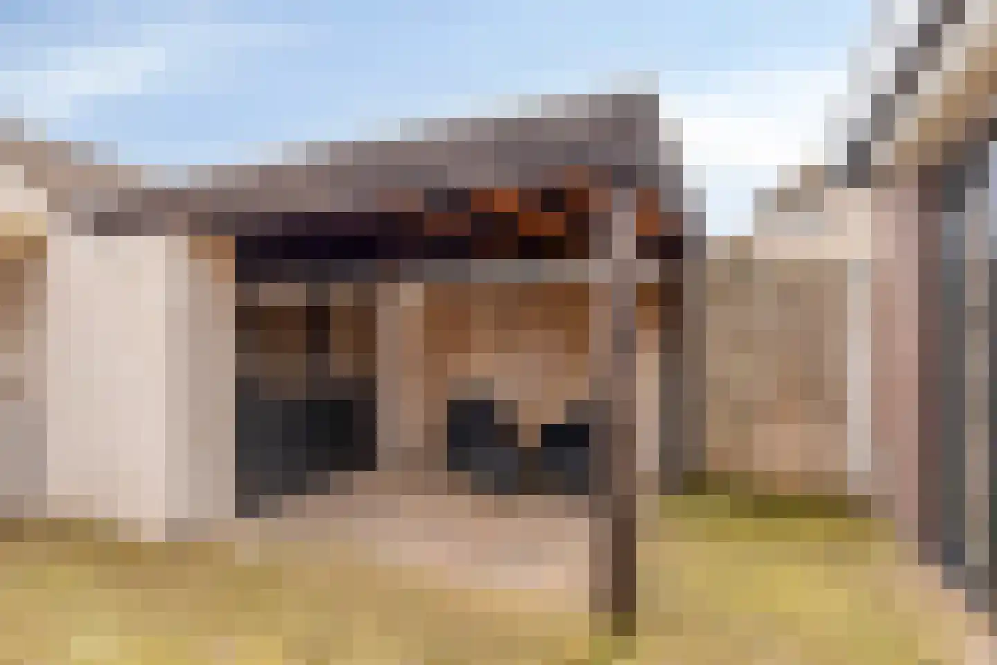 Baroniehof 64 Helmond thumbnail 28