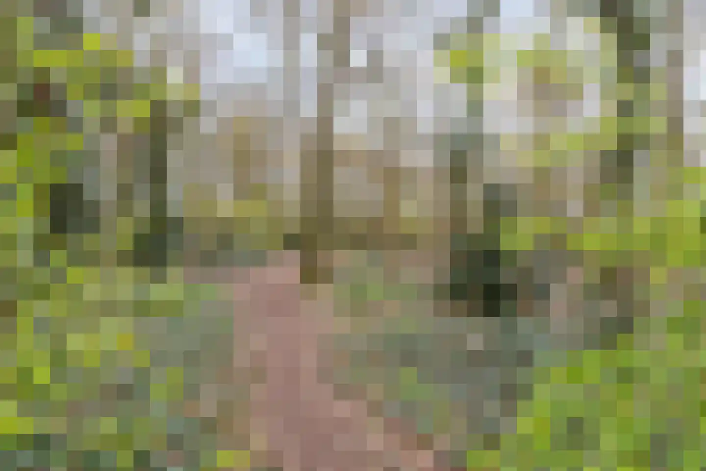 Baroniehof 64 Helmond thumbnail 32