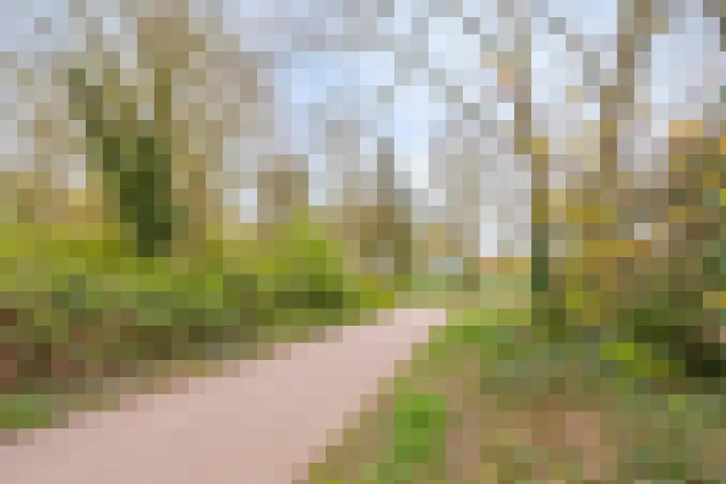 Baroniehof 64 Helmond thumbnail 33