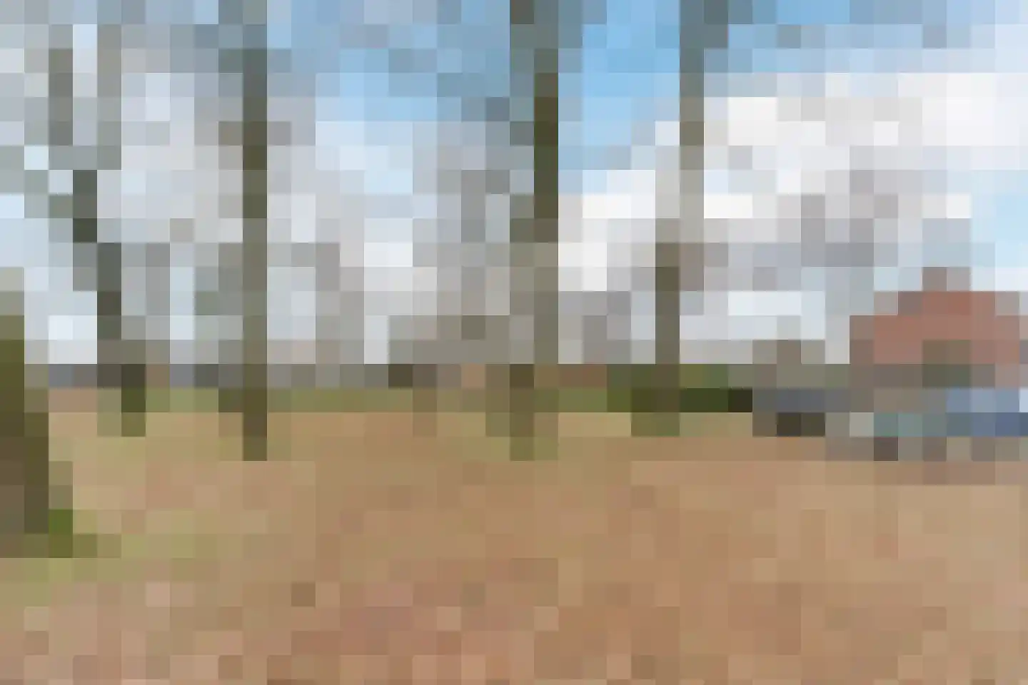 Baroniehof 87 Helmond thumbnail 4