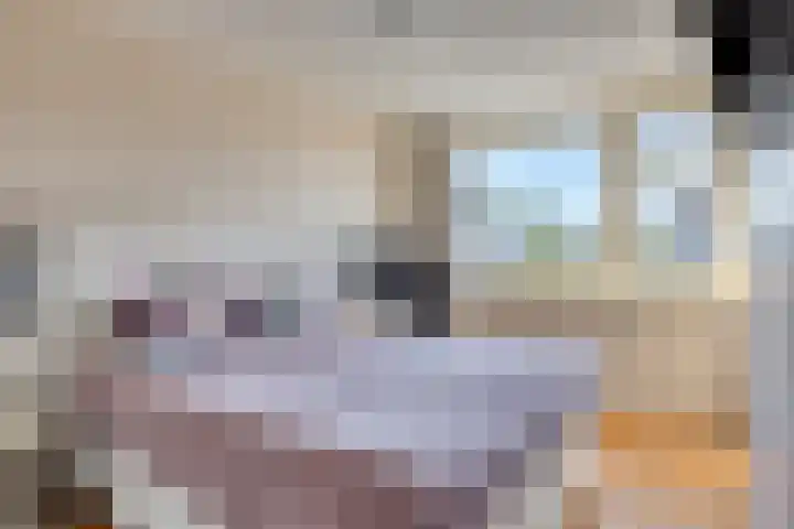 Baronielaan 1 Eindhoven thumbnail 16