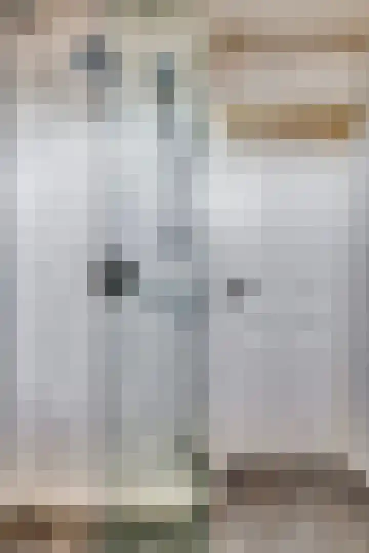 Baronielaan 1 Eindhoven thumbnail 19