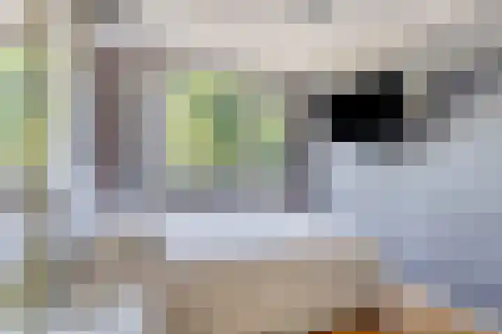 Baronielaan 1 Eindhoven thumbnail 21