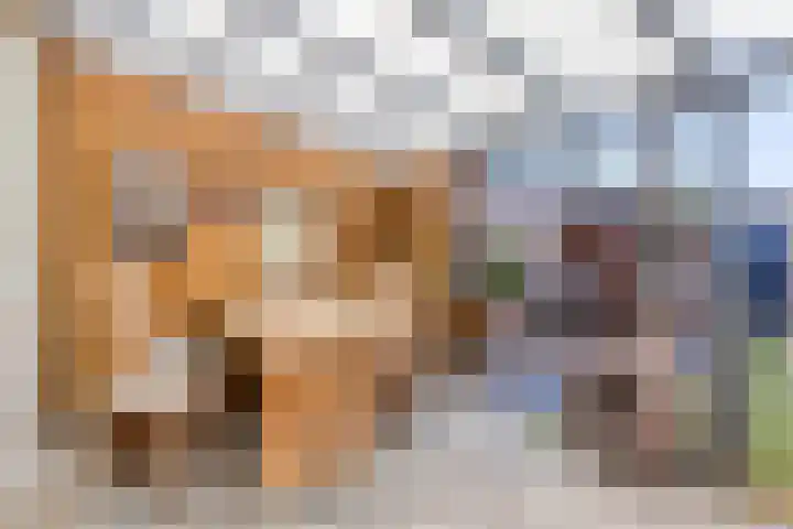 Baronielaan 1 Eindhoven thumbnail 25