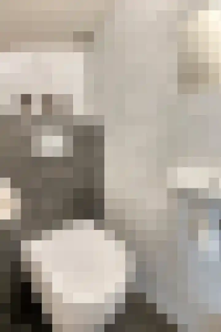 Baronielaan 1 Eindhoven thumbnail 4